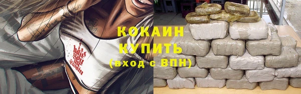 ешки Белокуриха