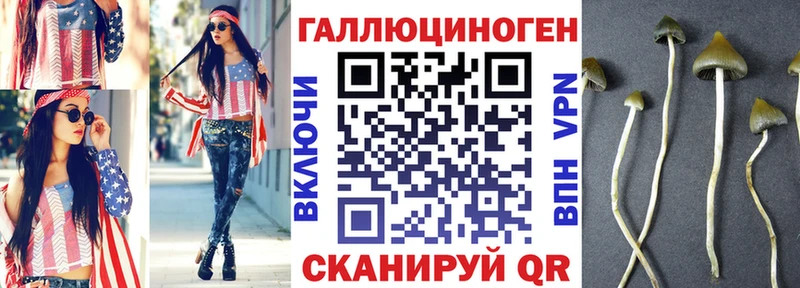OMG маркетплейс  Киселёвск  Псилоцибиновые грибы прущие грибы 